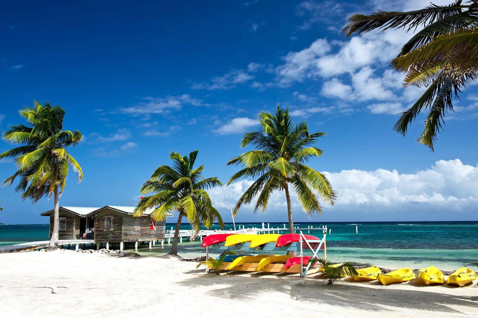 Blackbird Caye Resort Turneffe Atoll Bagian luar foto