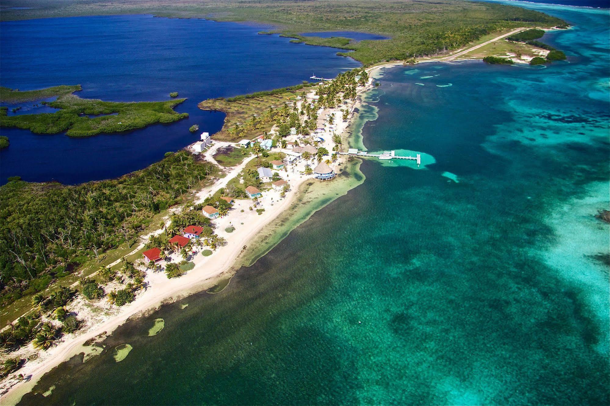 Blackbird Caye Resort Turneffe Atoll Bagian luar foto