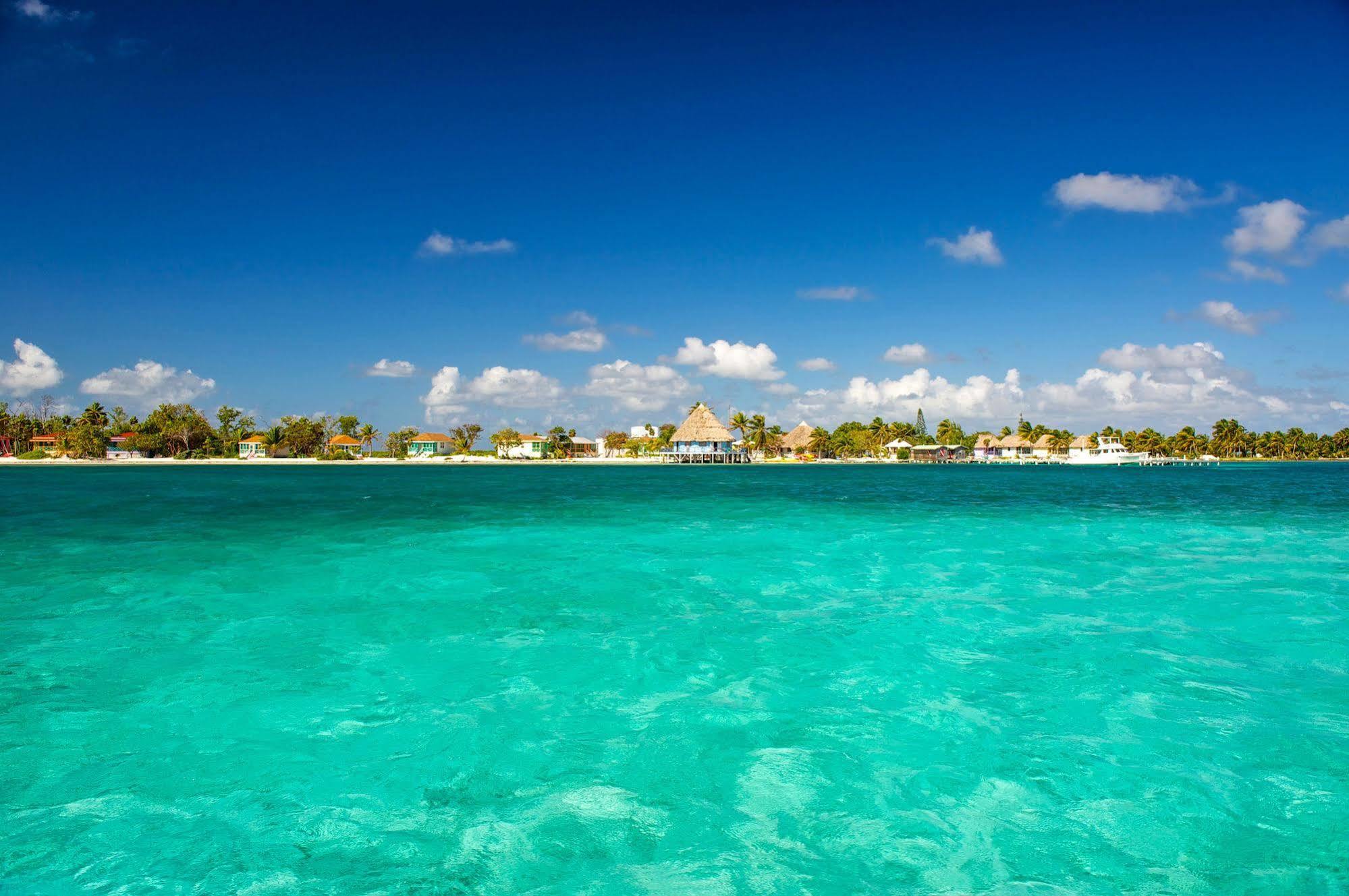 Blackbird Caye Resort Turneffe Atoll Bagian luar foto