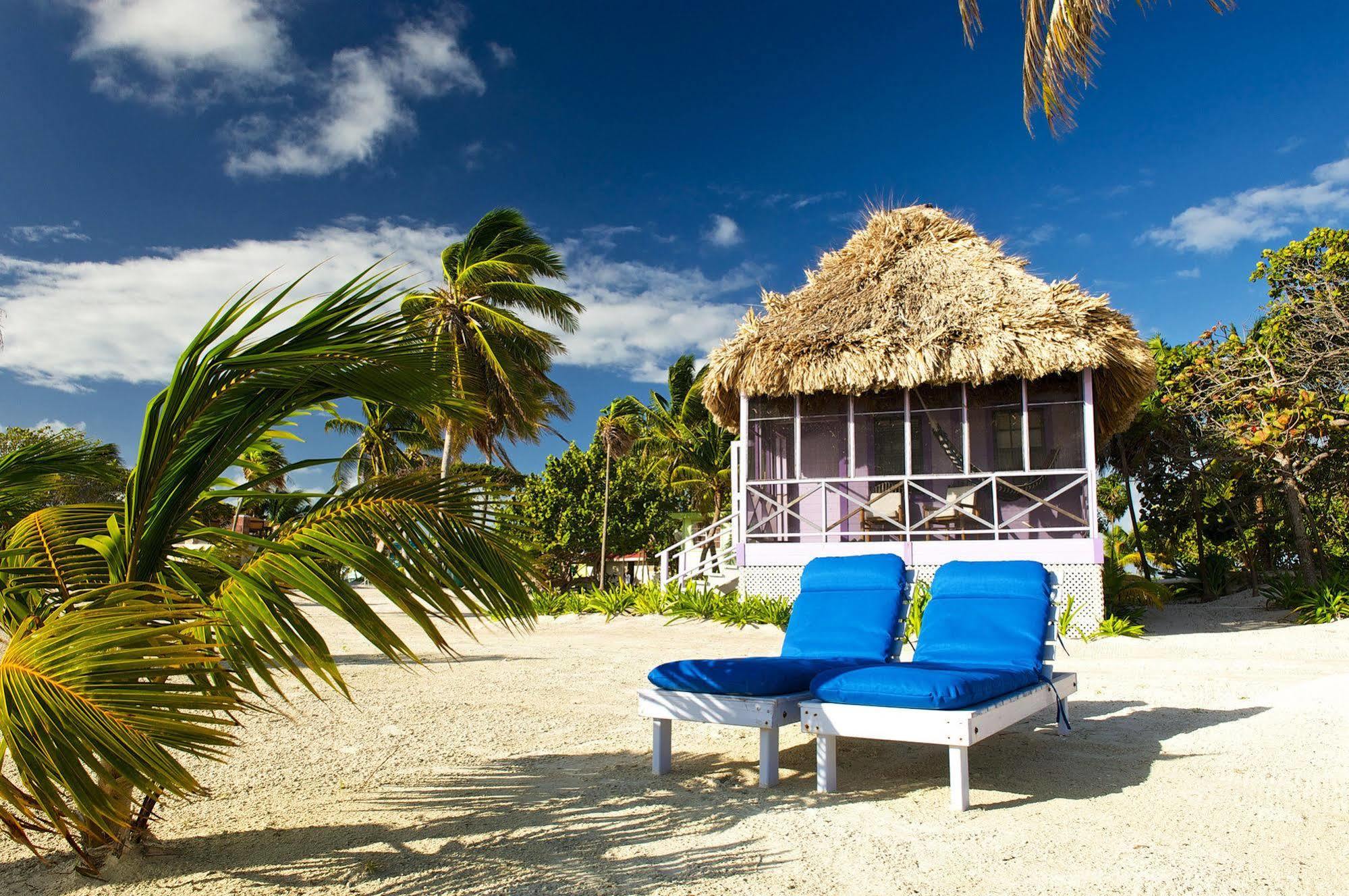 Blackbird Caye Resort Turneffe Atoll Bagian luar foto